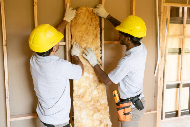 Best Insulation for New Construction  in Edina, MN